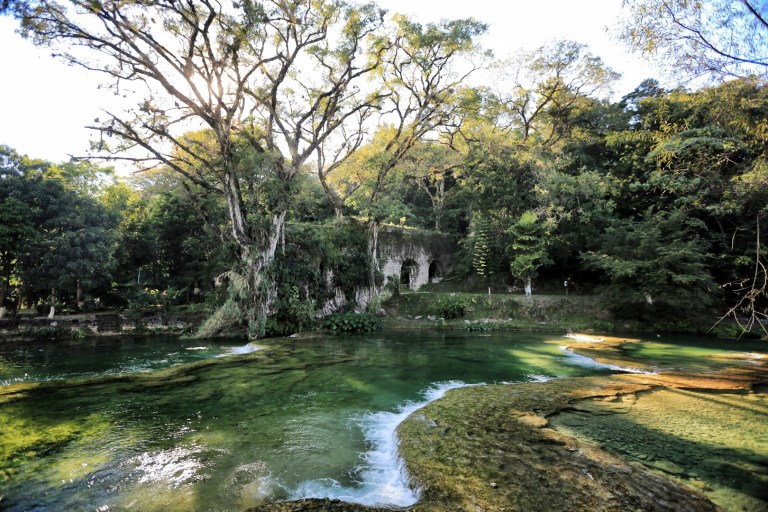This is a structure that is overgrown with trees at the Cascadas De Tamasopo
