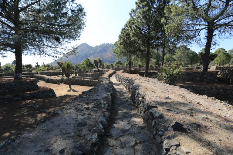 Here's another of Cantona's 'people highways'