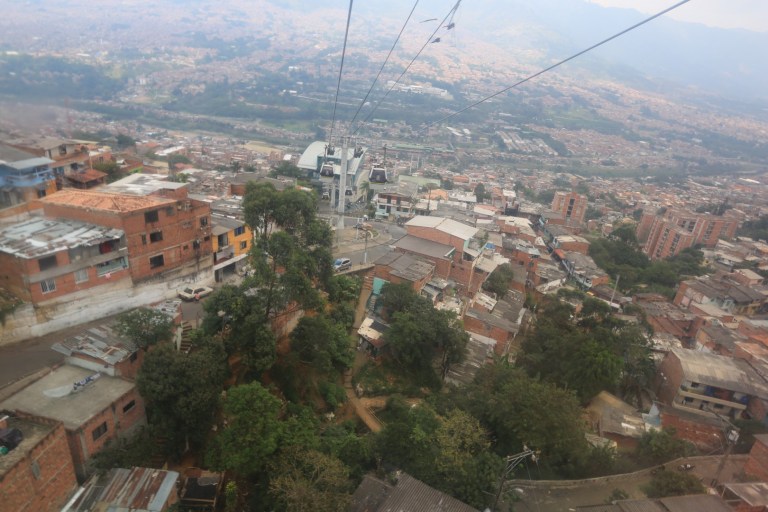 They grow out of the hills