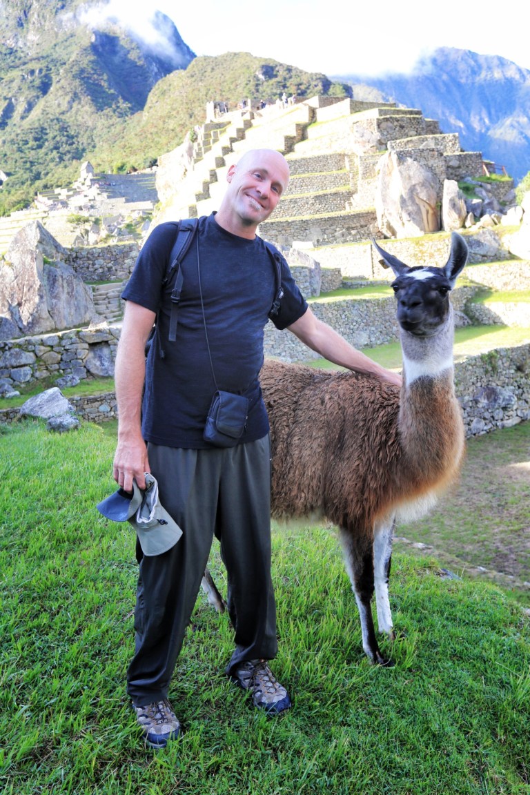 Yes - they have Llama at Machu Picchu!   And they do pose for photos!