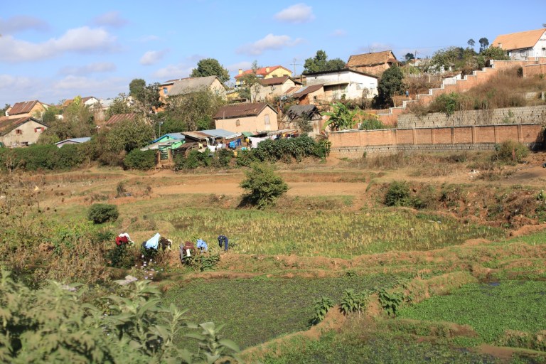 This rice field is 30 seconds from the center of the 2nd largest city in Mada