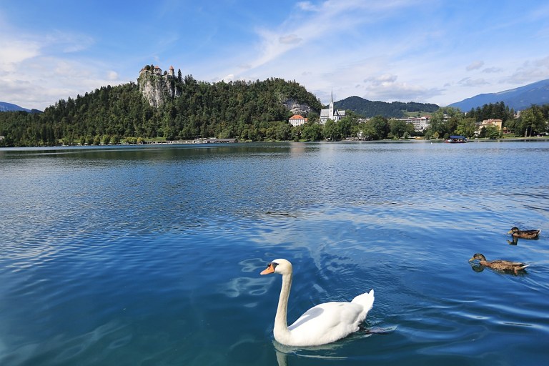Oh, look, perfect water, swan, castle on the hill.  Fake.