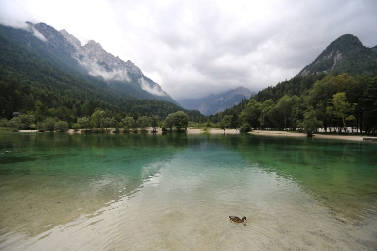 Oh, what a cute duck.  Too bad it's fake.  Like the "lake" and the "mountains".   