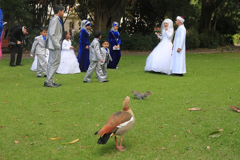 The duck stole the show though