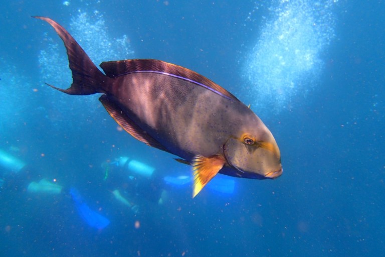 Still a lot of beauty in the waters right off shore