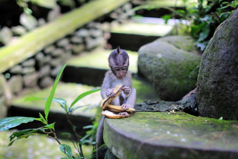 This little guy definitely still likes the tourists