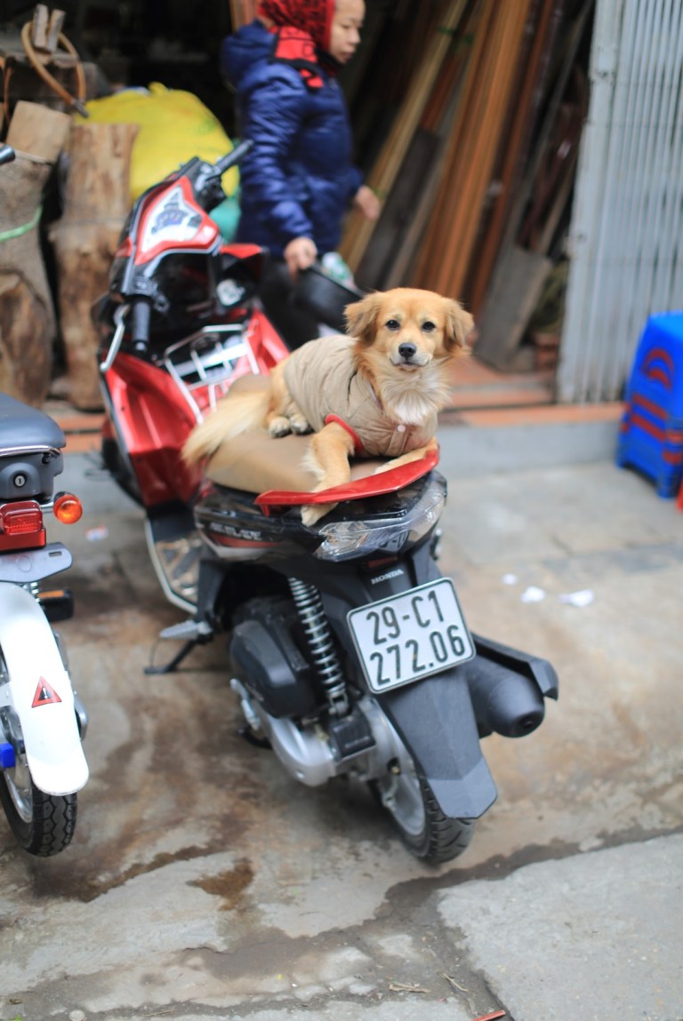 He's happy - and he looks like he's made it a few years!