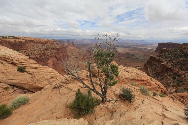 A view from Canyonland National Park