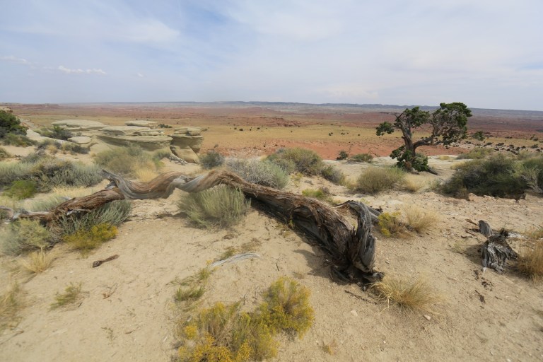 Just your average roadside view in Utah