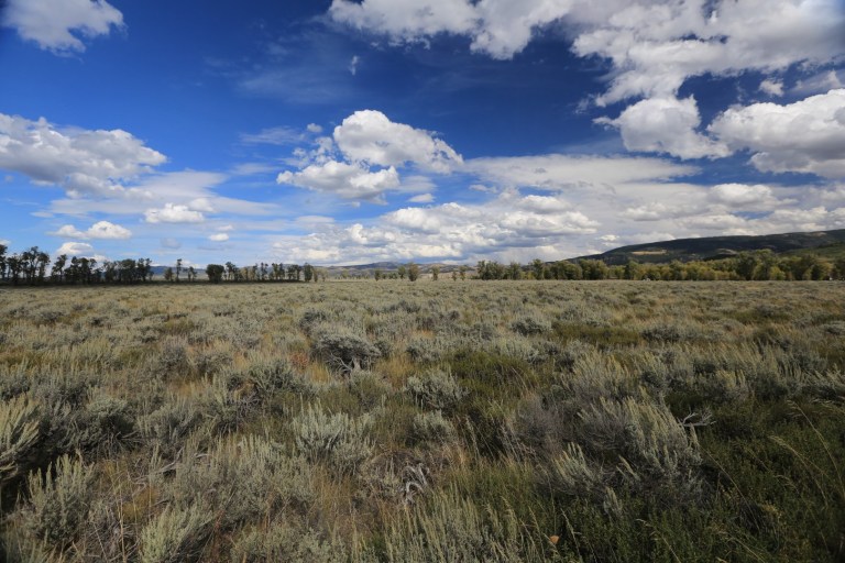 Sweeping plains and big blue skies